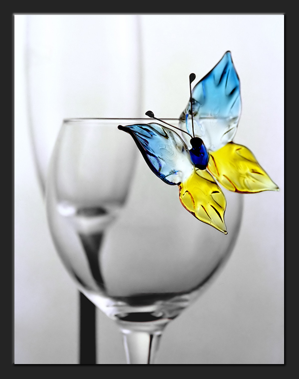 photo "Butterfly and glass" tags: still life, misc., 