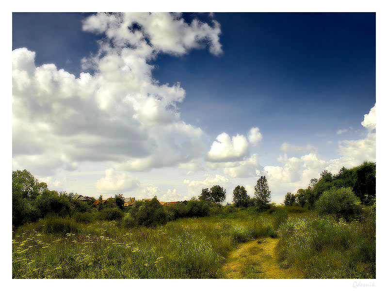 photo "The road calls" tags: landscape, summer