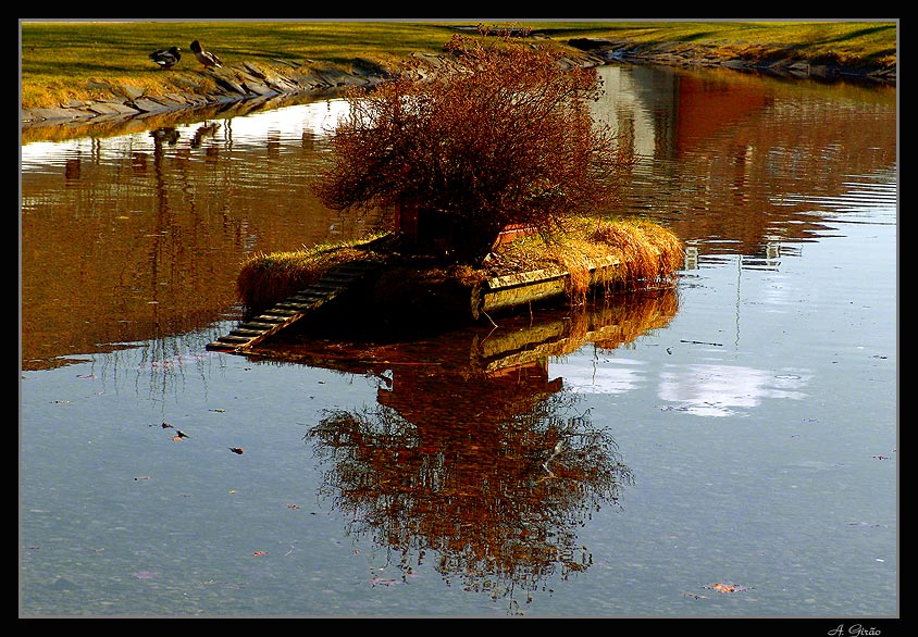 фото "Ducks Residence" метки: пейзаж, путешествия, Европа, весна