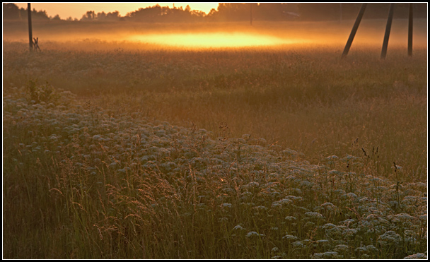 фото "Про раннее утро..." метки: природа, 