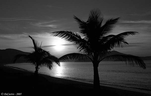 photo "Massaguaзu" tags: black&white, 