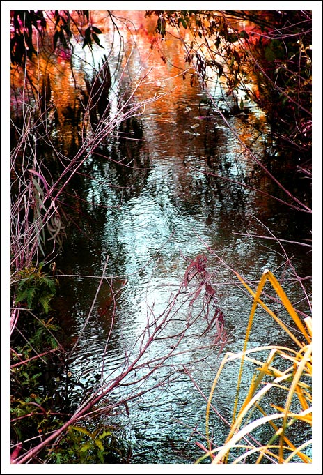 photo "Stream" tags: landscape, spring, water