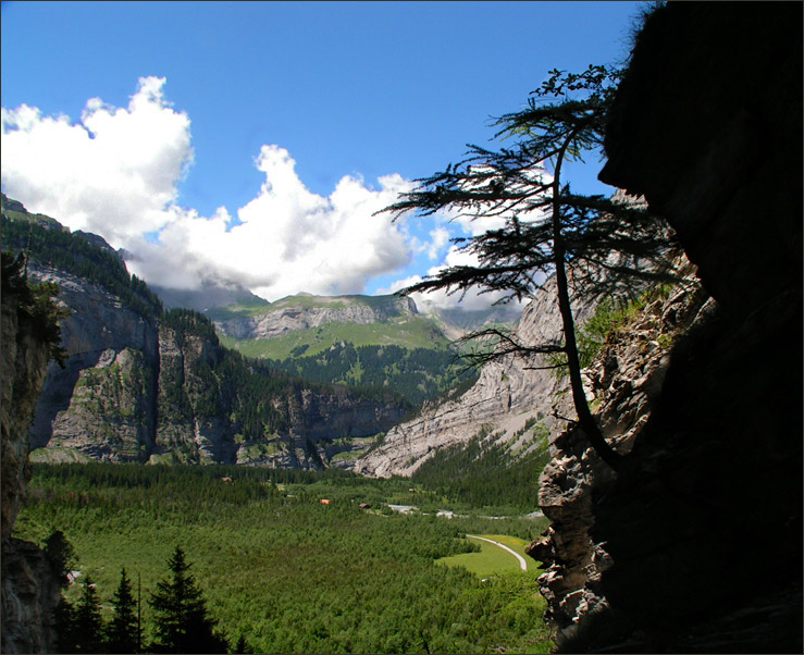 photo "...thre from stones trees grow..." tags: landscape, mountains