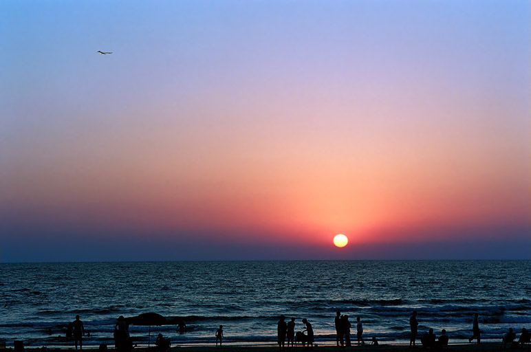 photo "@@@" tags: landscape, sunset, water