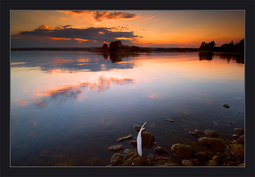 photo "About the Feather" tags: landscape, summer, sunset