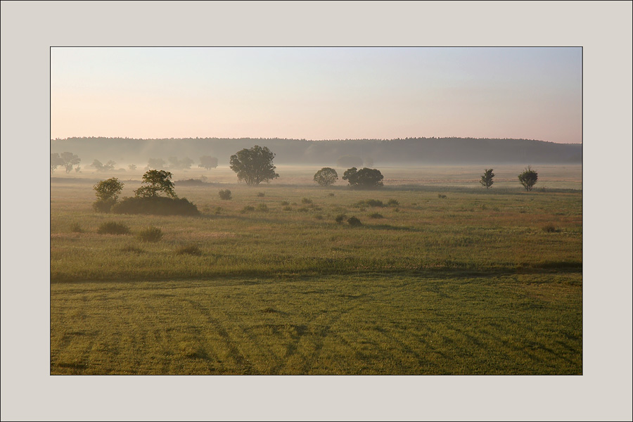 photo "morning foggy..." tags: landscape, summer, sunset