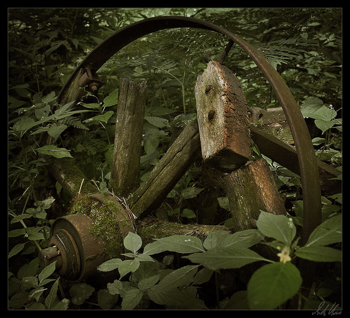 photo "***" tags: still life, nature, 