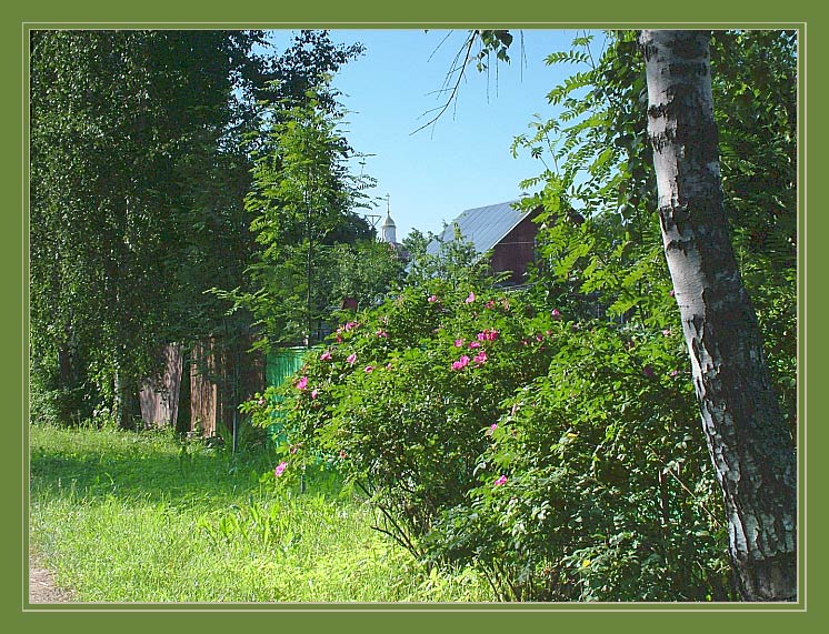 photo "Situated near Moscow morning" tags: landscape, summer