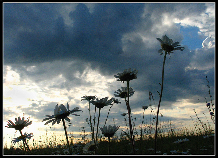 photo "Pilgrims" tags: nature, travel, Europe