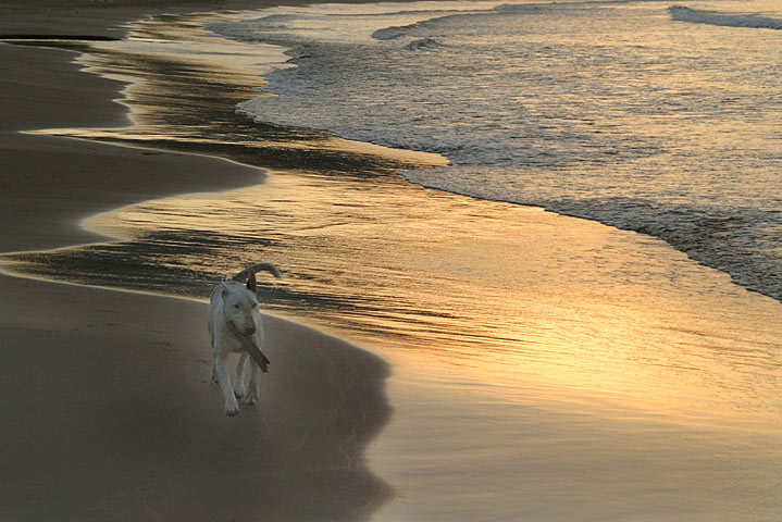 фото "the friend" метки: пейзаж, вода