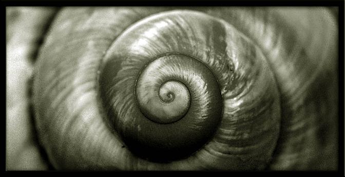 photo "Spiral" tags: abstract, still life, 
