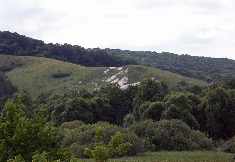 photo "Right riverside Severskiy Donec." tags: landscape, forest, mountains