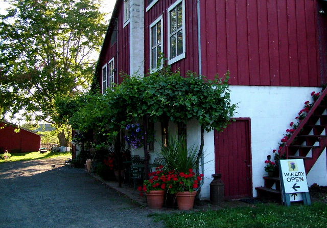 photo "Summer Wine" tags: travel, landscape, North America, summer