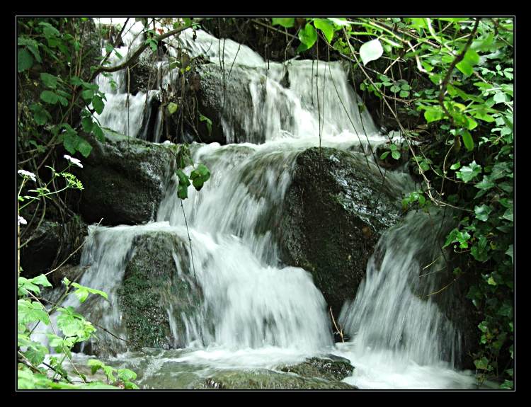 фото "small waterfalls" метки: пейзаж, вода, лес