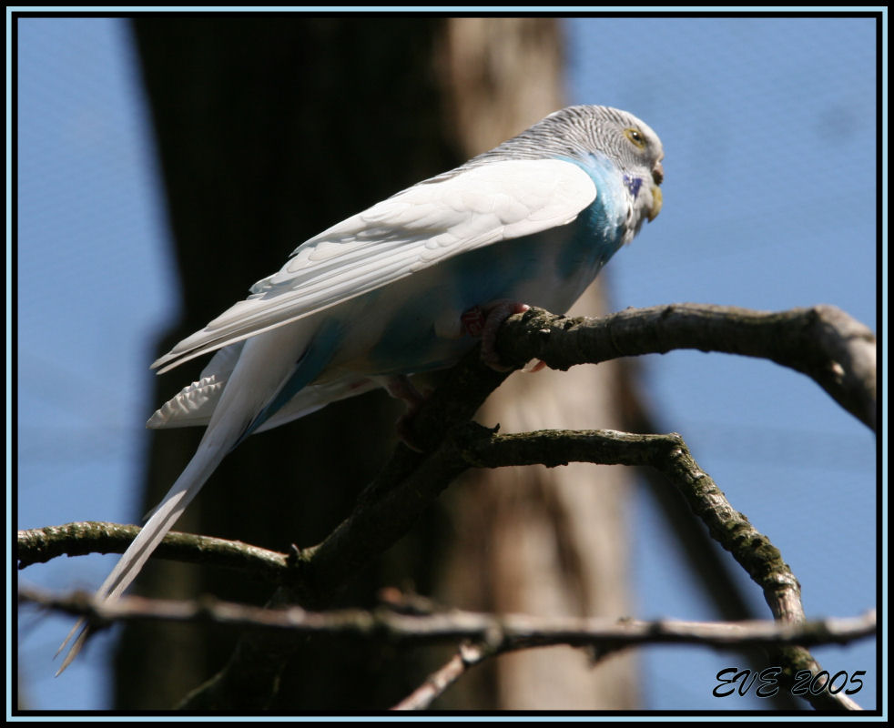 фото "Tierpark Nordhorn" метки: природа, 