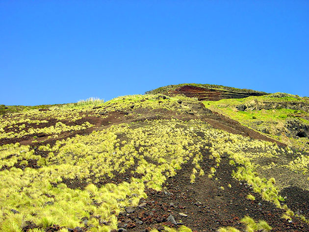 photo "Hill" tags: travel, landscape, Europe, mountains