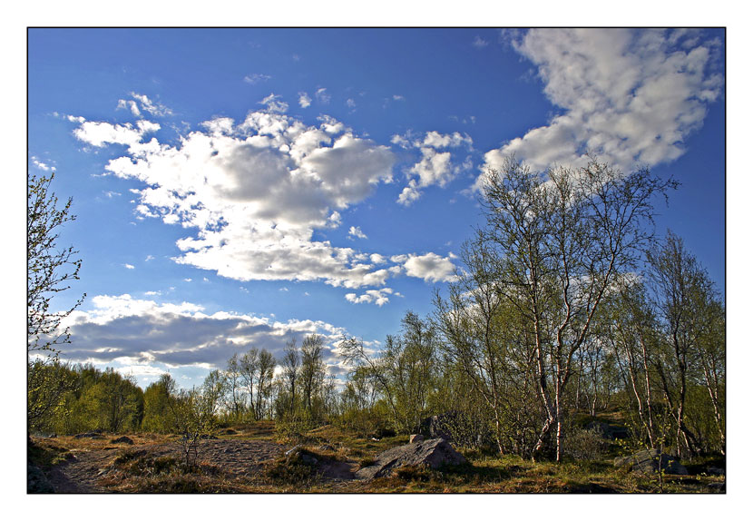 photo "***" tags: landscape, summer