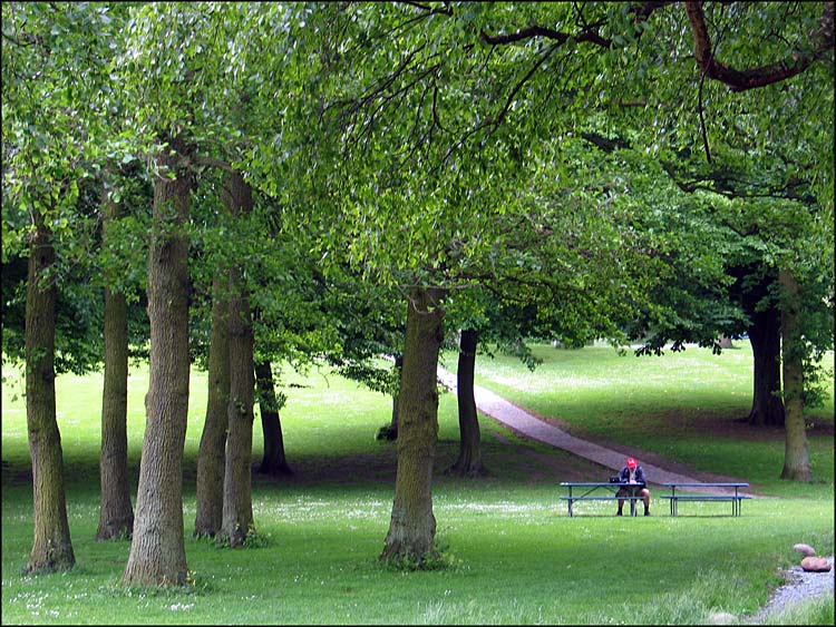 фото "Quiet morning" метки: пейзаж, путешествия, Европа, лес