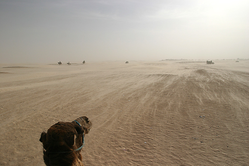 photo "To Meet the Desert" tags: travel, landscape, Africa, summer