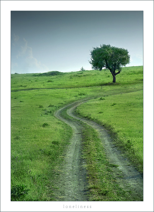 photo "Loneliness" tags: landscape, nature, 