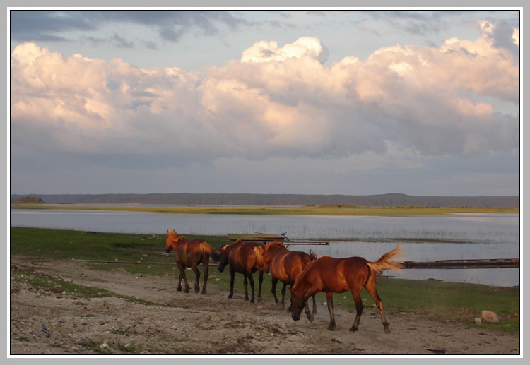 photo "Kenosero evening" tags: misc., 