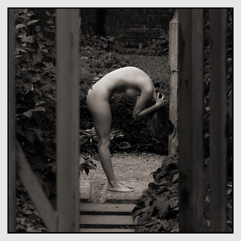 photo "The observer" tags: nude, 