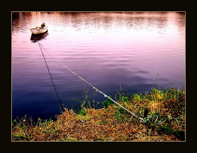 photo "lonely" tags: landscape, water