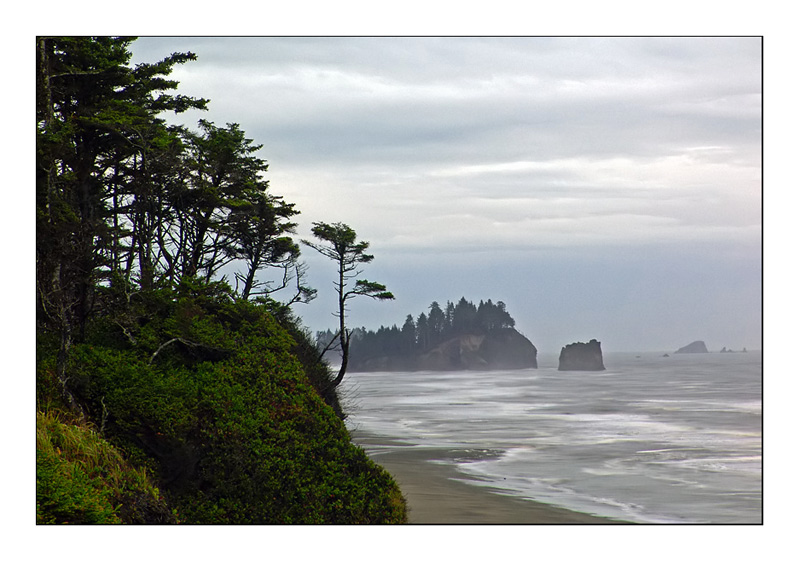 photo "The Journey" tags: landscape, forest, water