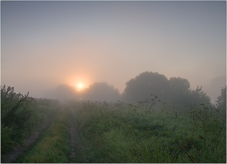 photo "Small picture about hope" tags: landscape, summer, sunset