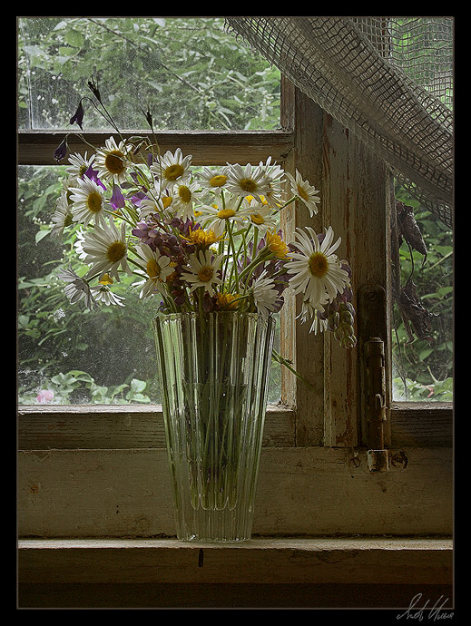 photo "Wood bouquet. Part I. Con brio." tags: still life, nature, flowers