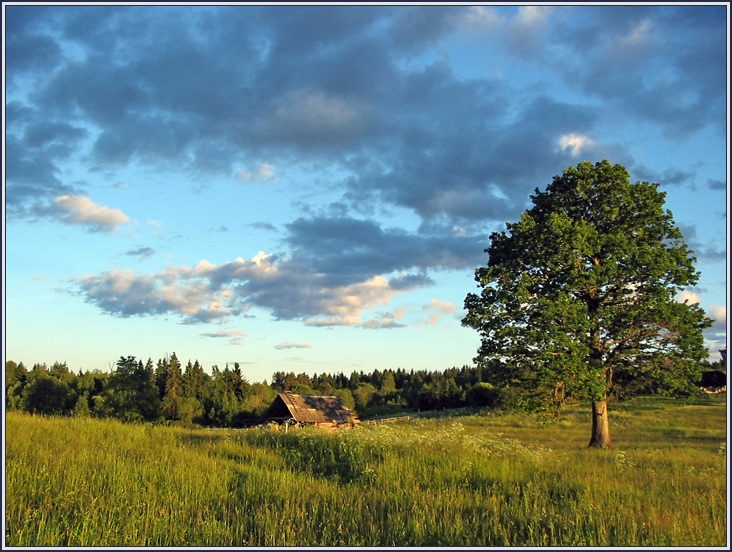 photo "On a decline" tags: landscape, summer, sunset