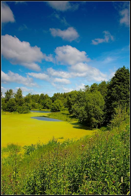 photo "* *" tags: misc., landscape, summer