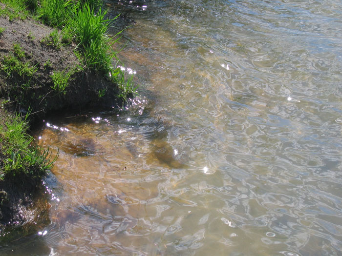 photo "simply water" tags: landscape, macro and close-up, water