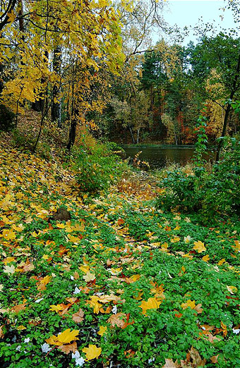 photo "early rainy autumn" tags: travel, landscape, Europe, autumn