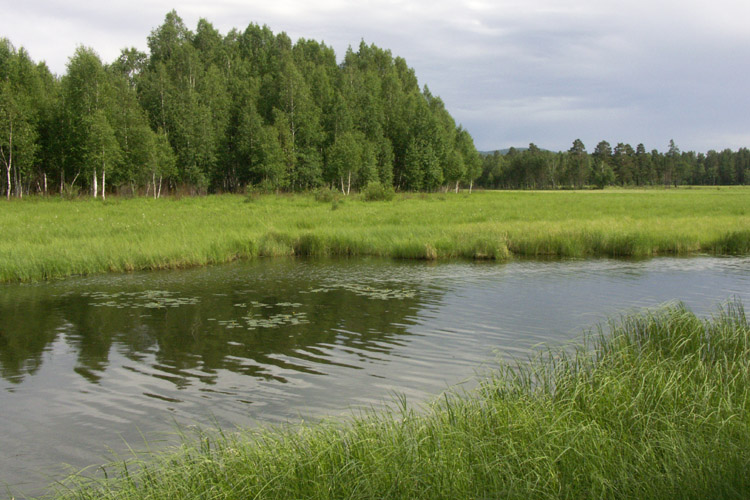 photo "Lake" tags: landscape, water