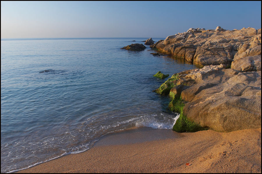 photo "Warm July morning." tags: landscape, summer, water