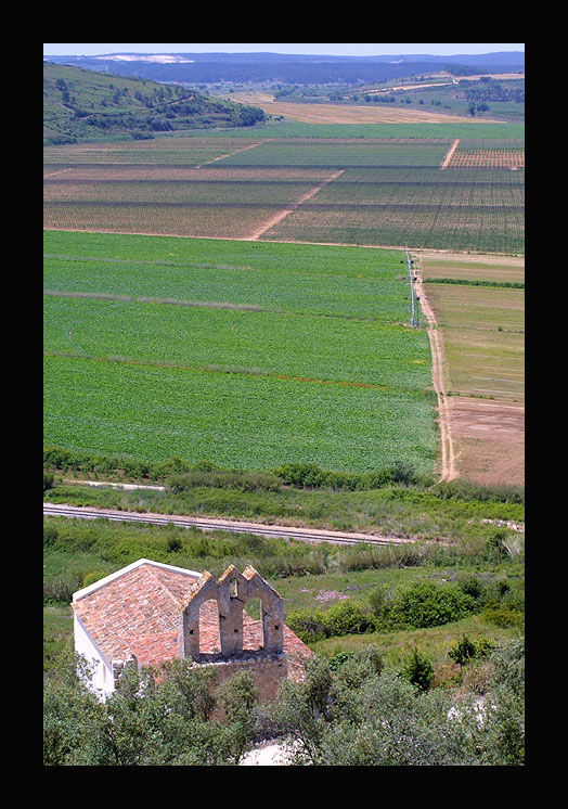 photo "green fields" tags: landscape, 