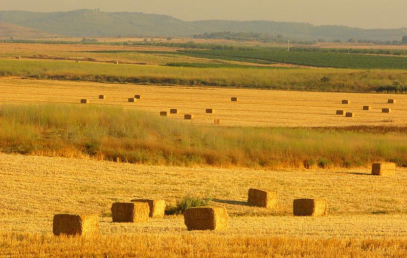 photo "*****" tags: landscape, summer