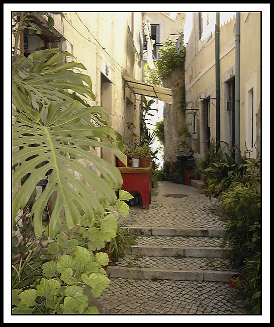 photo "Alfama 5 - Steps on narrow street" tags: architecture, landscape, 