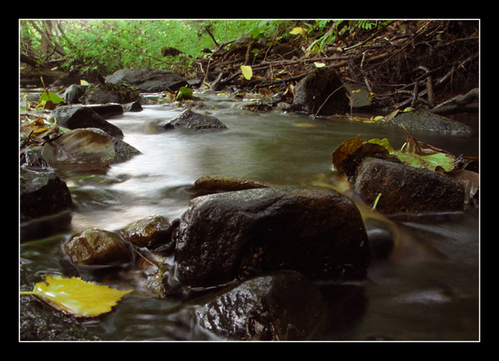 photo "Creek of the oblivion..." tags: landscape, nature, water