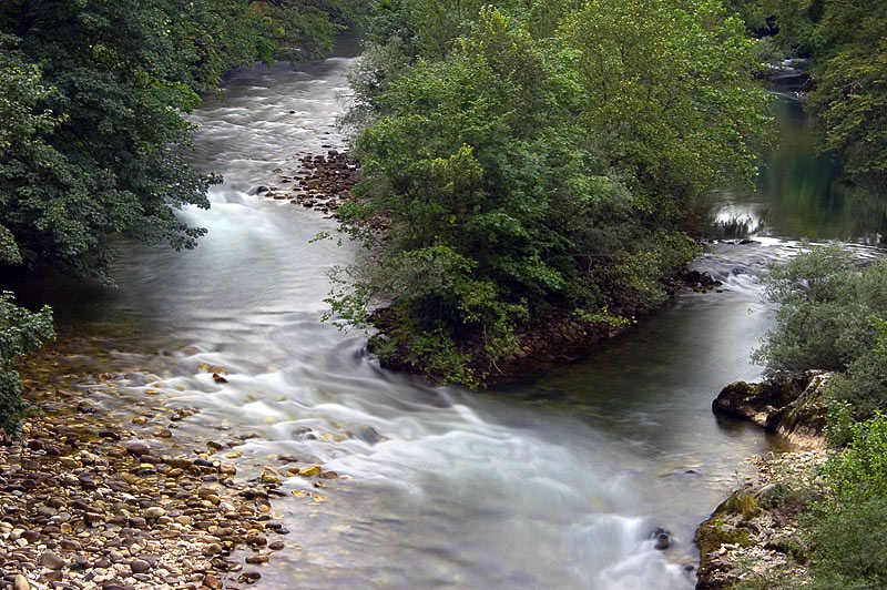 photo "Y" tags: landscape, forest, water