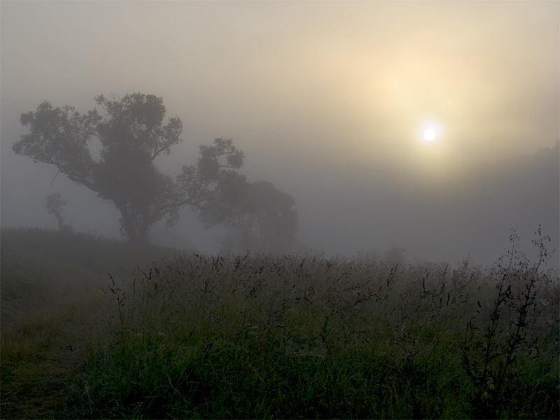 photo "Morning foggy (1)" tags: landscape, sunset