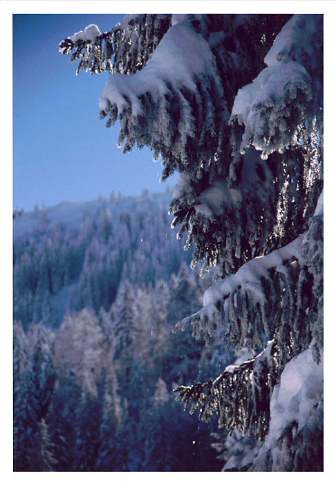 photo "Untitled photo" tags: landscape, winter