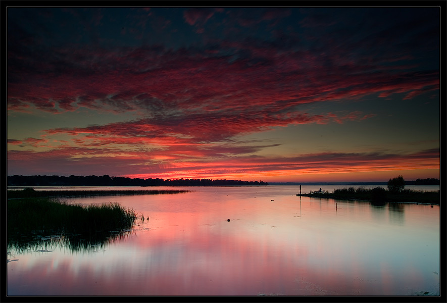 photo "When the Day Was Gone" tags: landscape, forest, sunset