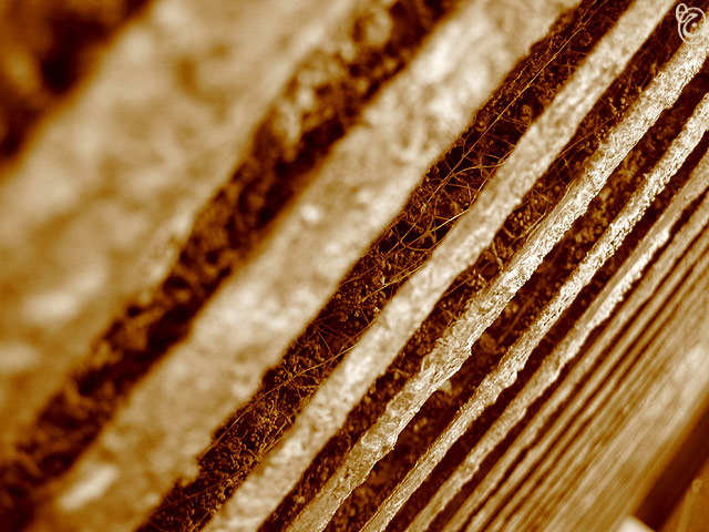 photo "Corrosion - 1" tags: macro and close-up, still life, 