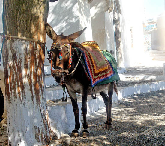 photo "Santorini#4" tags: travel, Europe