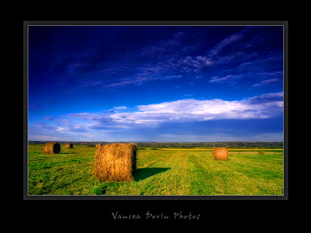 фото "Landscape" метки: пейзаж, лето