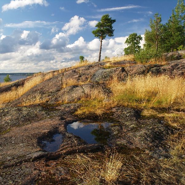 photo "On the Vyborg rocks" tags: landscape, forest, summer