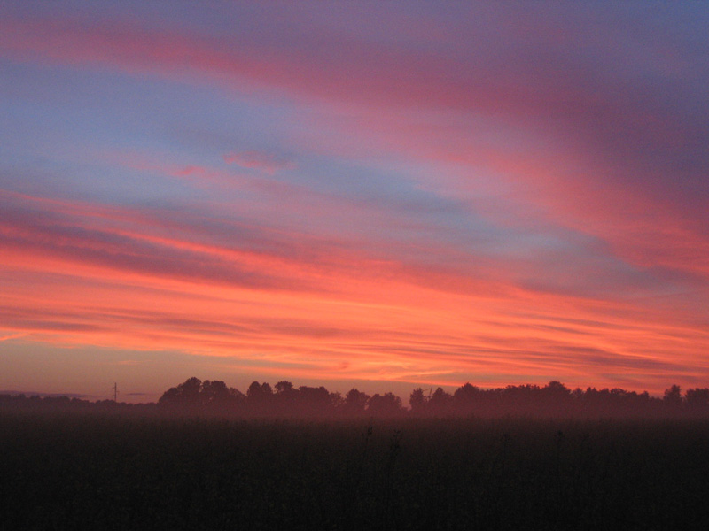 photo "А pink sunset" tags: landscape, genre, summer