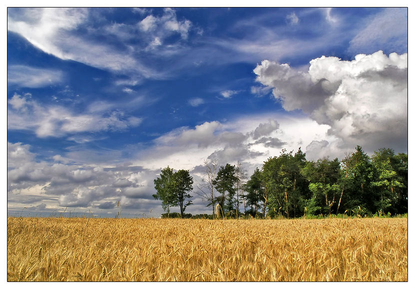 photo "***" tags: landscape, summer